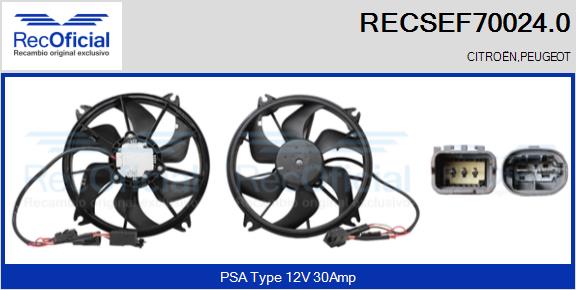 RECSEF70024.0