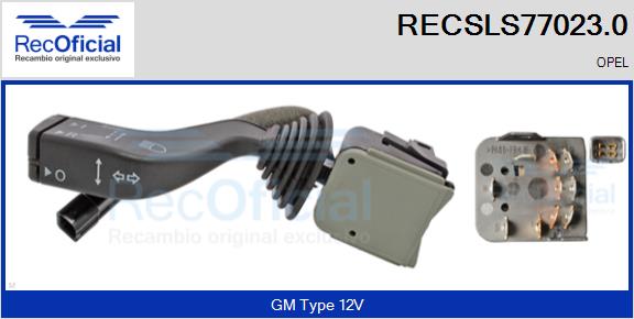 RECSLS77023.0