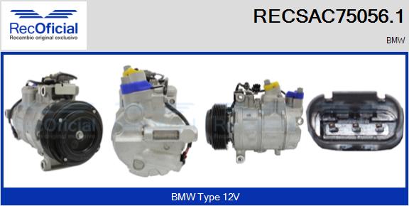 RECSAC75056.1