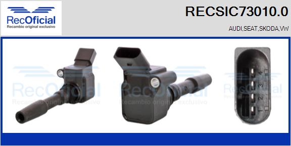 RECSIC73010.0