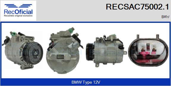 RECSAC75002.1