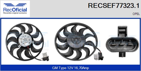 RECSEF77323.1
