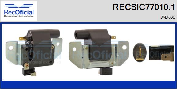 RECSIC77010.1