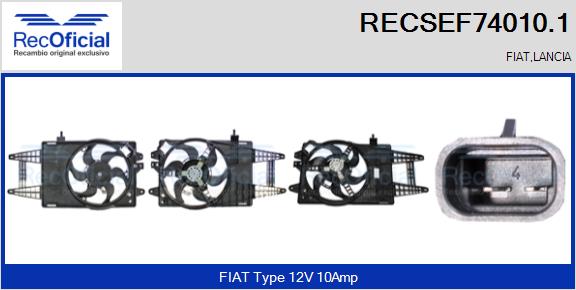 RECSEF74010.1