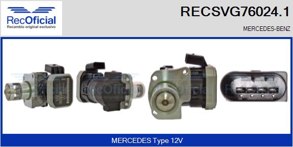 RECSVG76024.1
