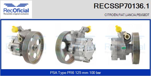 RECSSP70136.1