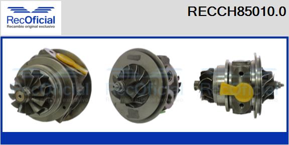 RECCH85010.0