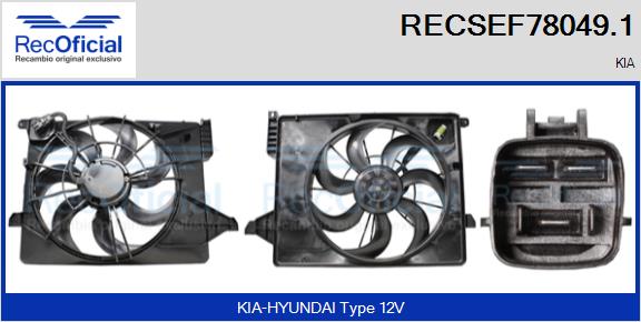 RECSEF78049.1