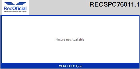 RECSPC76011.1