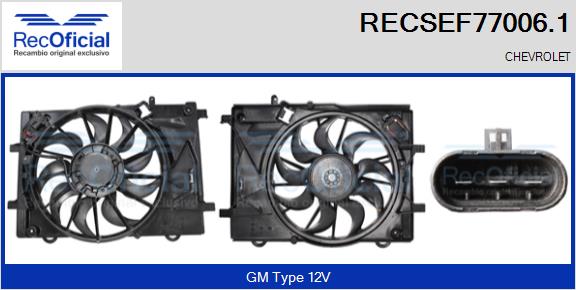 RECSEF77006.1