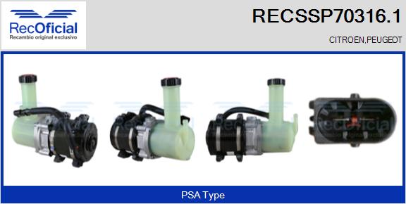 RECSSP70316.1