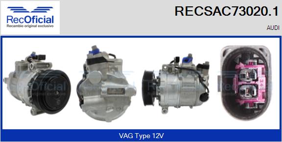 RECSAC73020.1