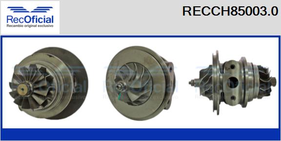 RECCH85003.0