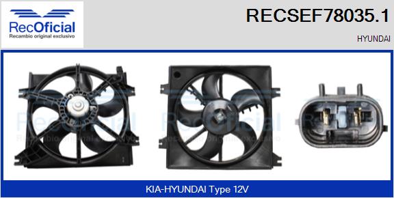 RECSEF78035.1