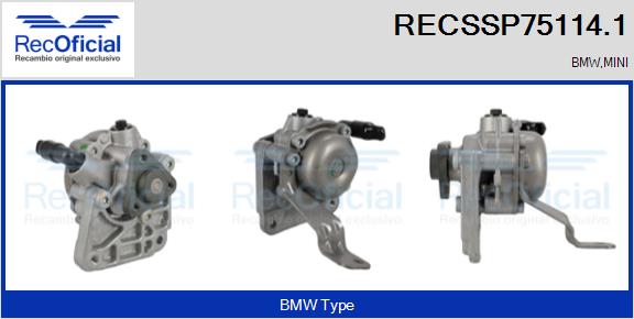 RECSSP75114.1