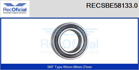 RECSBE58133.0
