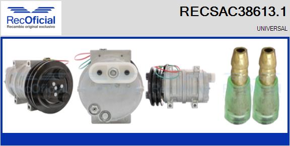 RECSAC38613.1