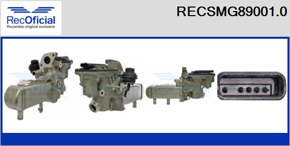 RECSMG89001.0