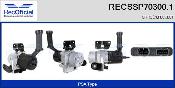 RECSSP70300.1