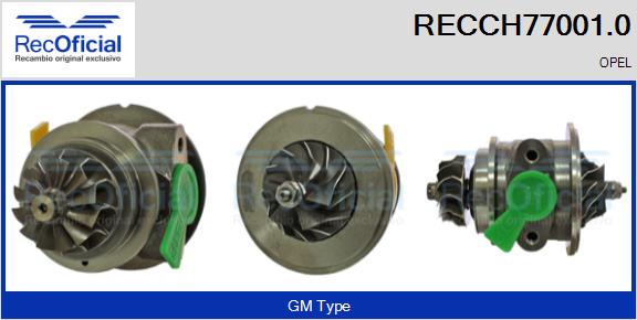 RECCH77001.0