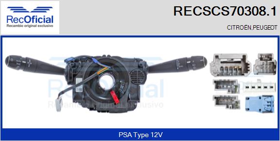 RECSCS70308.1