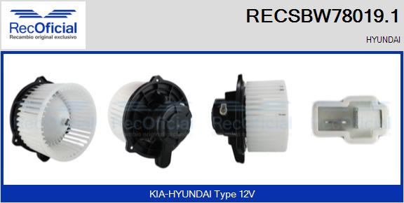 RECSBW78019.1