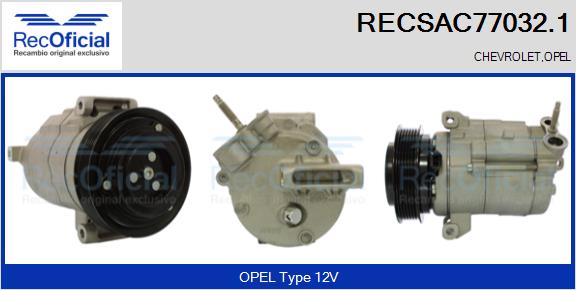 RECSAC77032.1