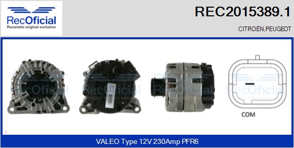 REC2015389.1