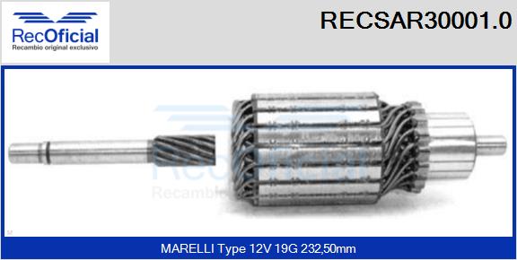 RECSAR30001.0