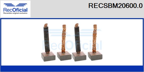 RECSBM20600.0