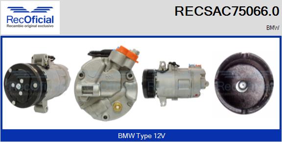 RECSAC75066.0