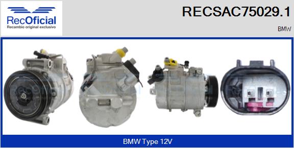 RECSAC75029.1