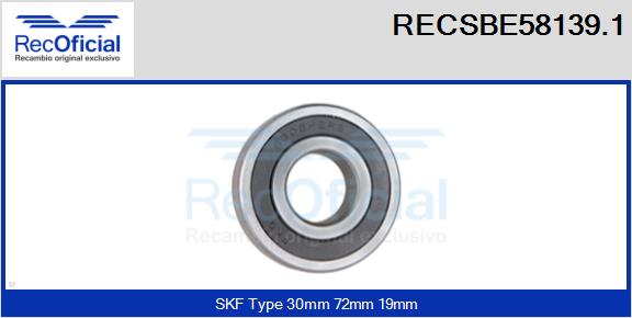 RECSBE58139.1