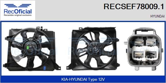 RECSEF78009.1