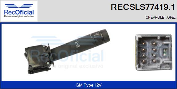 RECSLS77419.1