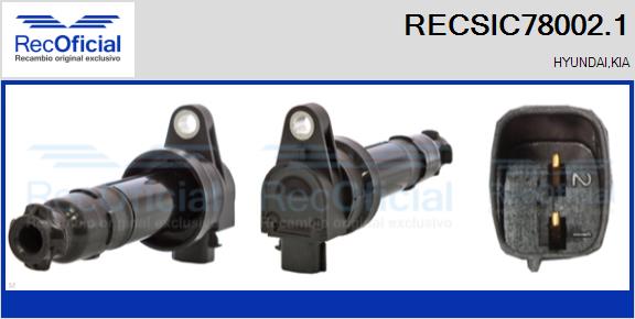 RECSIC78002.1