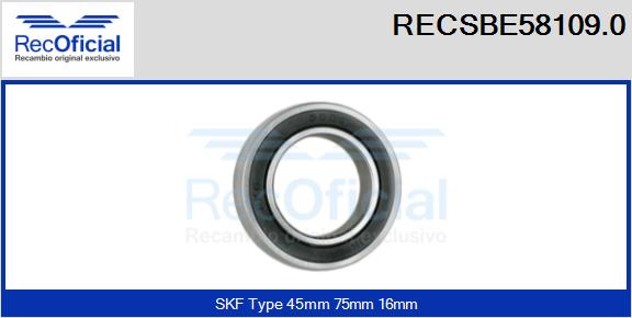 RECSBE58109.0
