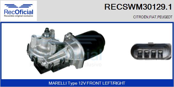 RECSWM30129.1