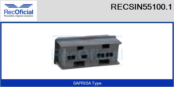 RECSIN55100.1