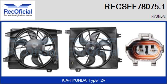 RECSEF78075.1