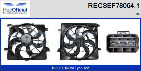 RECSEF78064.1