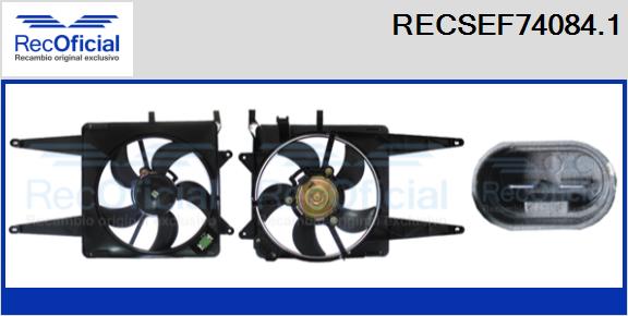 RECSEF74084.1