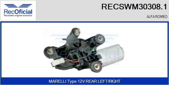 RECSWM30308.1
