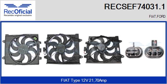 RECSEF74031.1