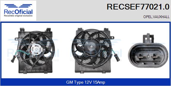 RECSEF77021.0