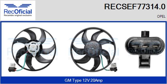 RECSEF77314.0