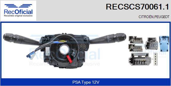 RECSCS70061.1