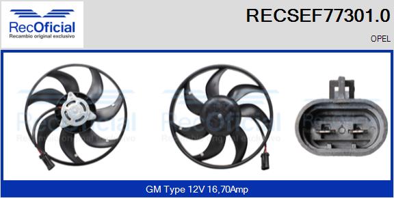 RECSEF77301.0