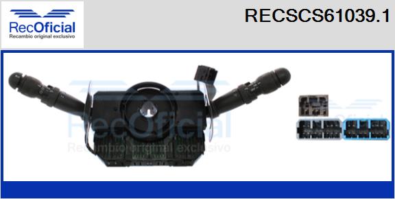 RECSCS61039.1