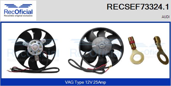 RECSEF73324.1